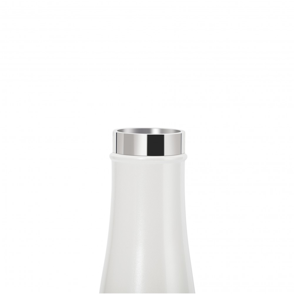 LIZ 480ml Petit Thermos Intelligent