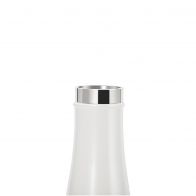 LIZ 480ml Petit Thermos Intelligent