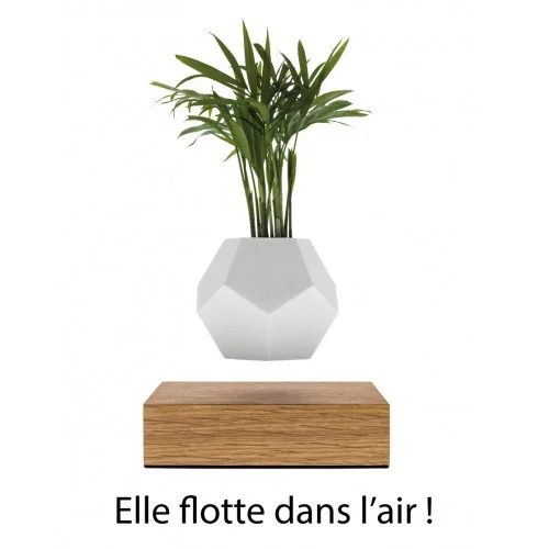Lyfe Planter par FLYTE