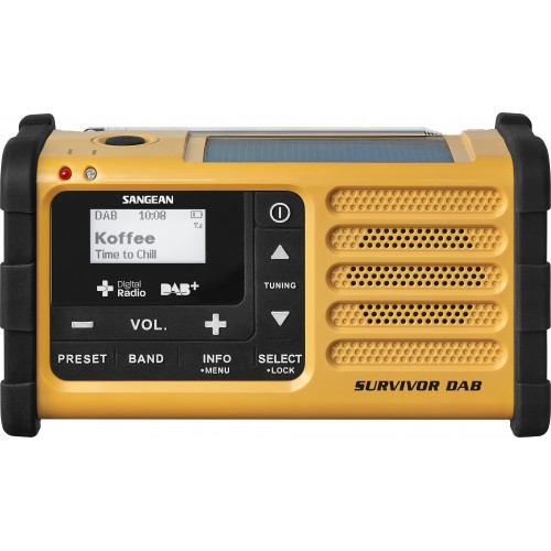 Radio DAB Survivor