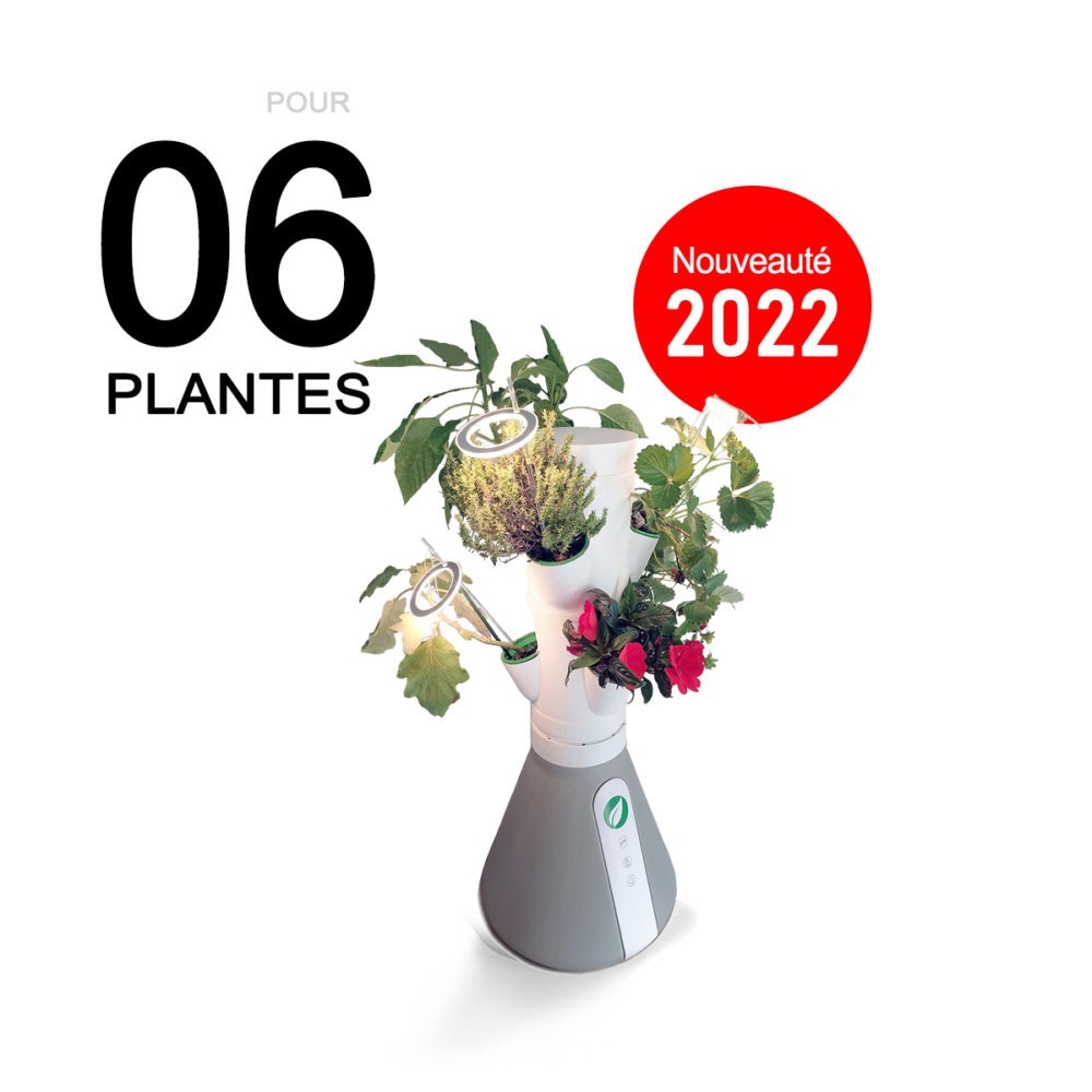 HomePotager Kit Mini 6 plants