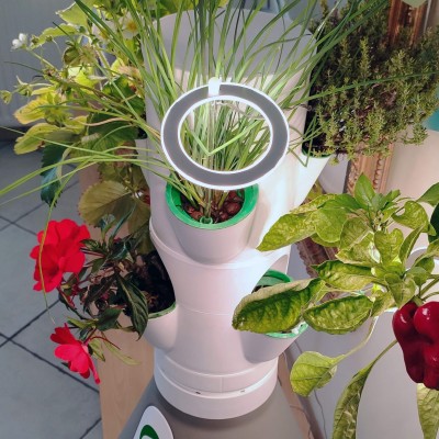 HomeObstgarten Kit Mini 6 Pflanzen