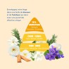 Parfum concentré Ops Clean – pyramide olfactive croquée avec arômes floraux, romarin, coriandre et cyclamen sur fond beige, épic