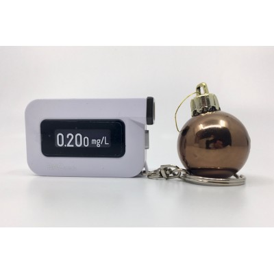 BACtrack keychain